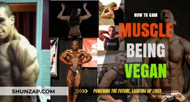 Vegan Muscle Building: Plant-Based Strategies for Strength and Growth