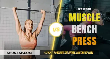Master the Bench Press: Effective Strategies to Build Muscle Fast