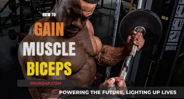 Effective Biceps Building: Proven Techniques for Bigger, Stronger Arms