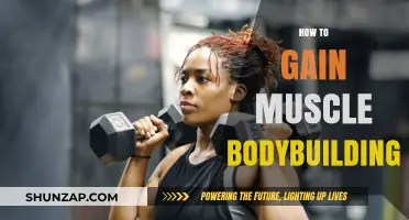 Effective Muscle Building Strategies for Bodybuilding Success and Strength