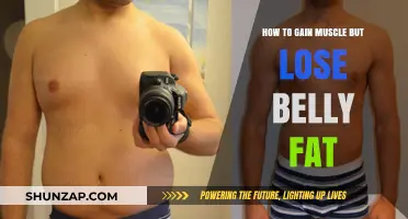Sculpt Lean Muscle, Shed Belly Fat: Your Ultimate Fitness Guide
