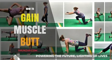 Sculpt a Stronger Gluteus: Effective Tips for Building a Muscular Butt