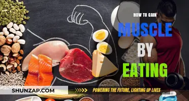 Fuel Your Gains: Smart Eating Strategies for Building Muscle Mass