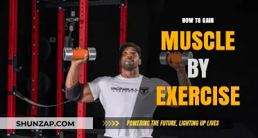Effective Workout Strategies for Building Muscle Mass and Strength