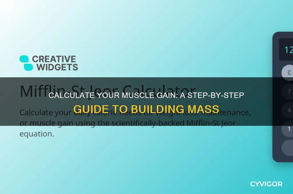 how to gain muscle calculator