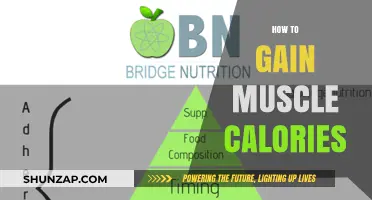 Maximize Muscle Growth: Calorie Strategies for Effective Mass Gain