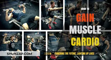 Effective Cardio Strategies to Build Muscle and Boost Fitness