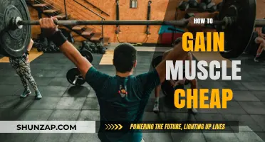 Budget-Friendly Muscle Building: Affordable Tips for Effective Gains