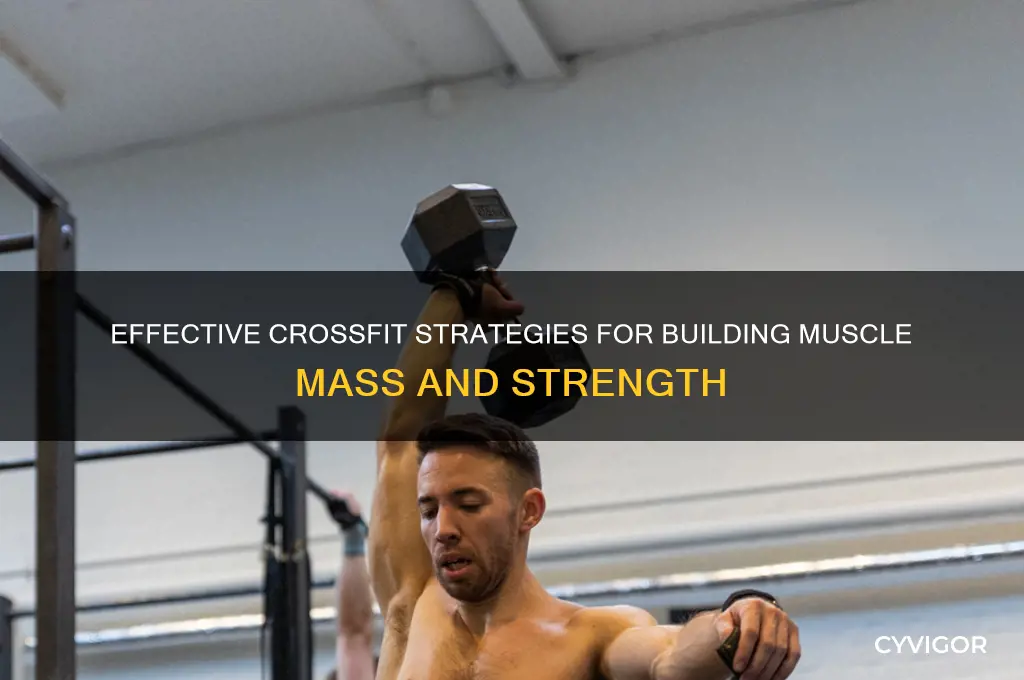 how to gain muscle crossfit