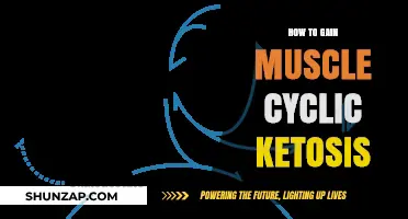 Cyclic Ketosis for Muscle Gain: Strategies to Build Strength and Size