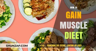 Effective Muscle-Building Diet Strategies for Optimal Growth and Strength