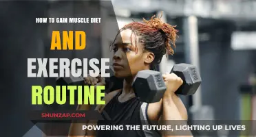 Effective Muscle-Building Diet and Exercise Strategies for Optimal Results