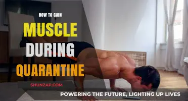Build Muscle at Home: Effective Quarantine Workout and Nutrition Tips