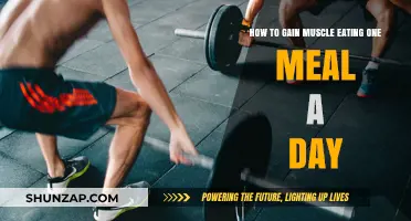One Meal Muscle Gain: Maximizing Growth with OMAD Strategies