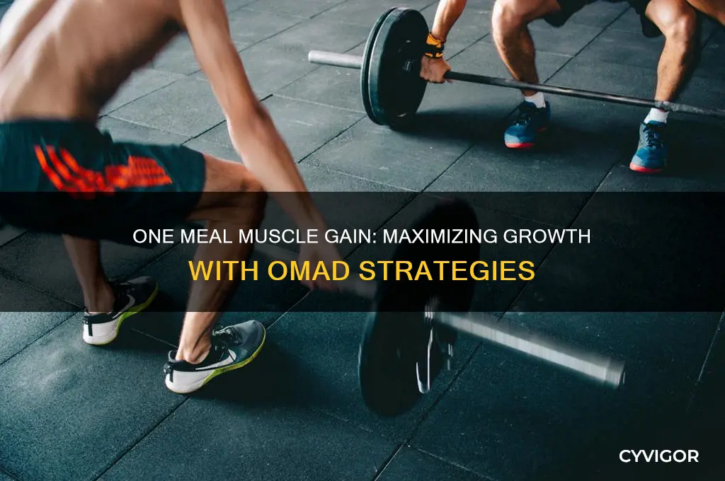 how to gain muscle eating one meal a day