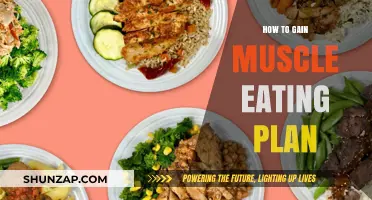Fuel Your Gains: Effective Eating Plan for Muscle Growth
