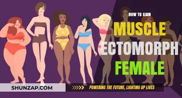 Ectomorph Female Muscle Gain: Effective Strategies for Building Strength