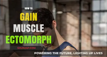 Ectomorph Muscle Building: Strategies for Gaining Mass Effectively