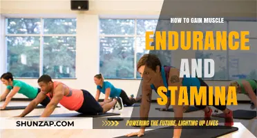 Boost Muscle Endurance and Stamina: Proven Strategies for Lasting Strength