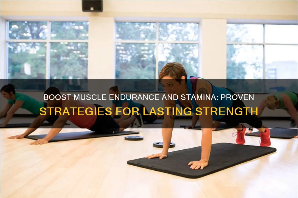 how to gain muscle endurance and stamina