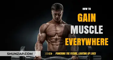 Maximize Muscle Growth: Full-Body Strategies for Strength and Size