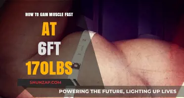 Rapid Muscle Gain Strategies for 6ft, 170lb Individuals