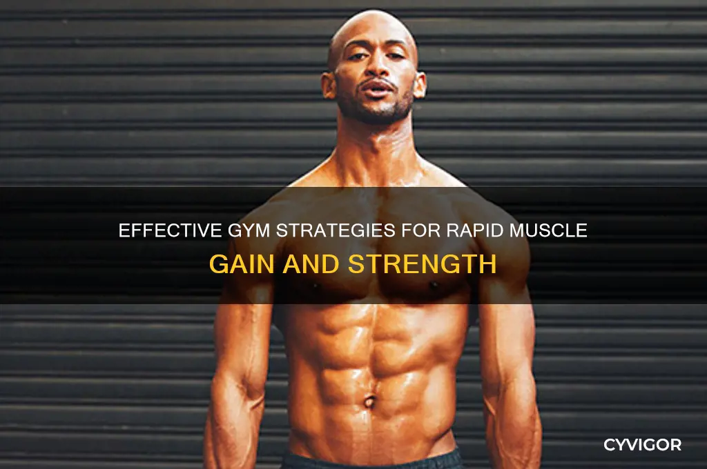 how to gain muscle fast at gym