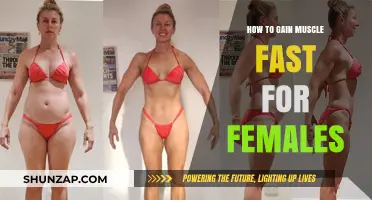 Effective Muscle Building Strategies for Women: Fast Results, Healthy Gains