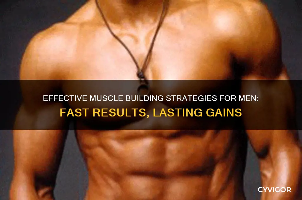 how to gain muscle fast for men