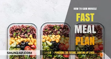 Effective Muscle-Building Meal Plan for Rapid Strength and Size Gains