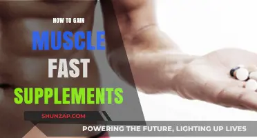 Accelerate Muscle Growth: Top Supplements for Fast Results