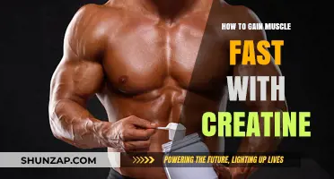 Accelerate Muscle Growth: Creatine's Role in Fast, Effective Gains