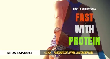 Maximize Muscle Growth: Fast-Track Results with High-Protein Strategies