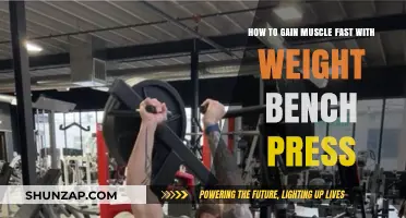 Maximize Muscle Growth: Fast Results with Weight Bench Press Techniques