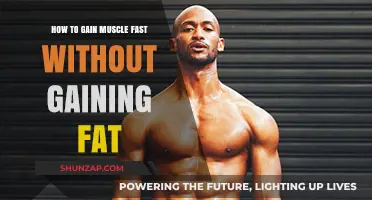 Maximize Muscle Growth: Strategies to Build Lean Mass Quickly