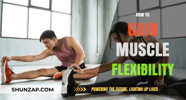 Unlock Your Body's Potential: Effective Strategies for Muscle Flexibility