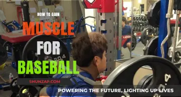 Effective Muscle-Building Strategies for Baseball Performance and Power