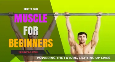 Effective Muscle Building Tips for Beginners to Start Strong