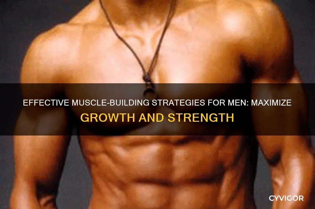 how to gain muscle for guys