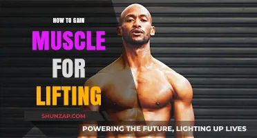 Effective Muscle-Building Strategies for Strength and Lifting Success