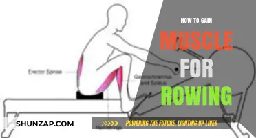 Effective Muscle-Building Strategies for Rowing Performance and Strength