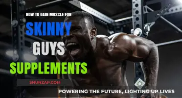 Muscle Building for Skinny Guys: Top Supplements to Transform Your Physique