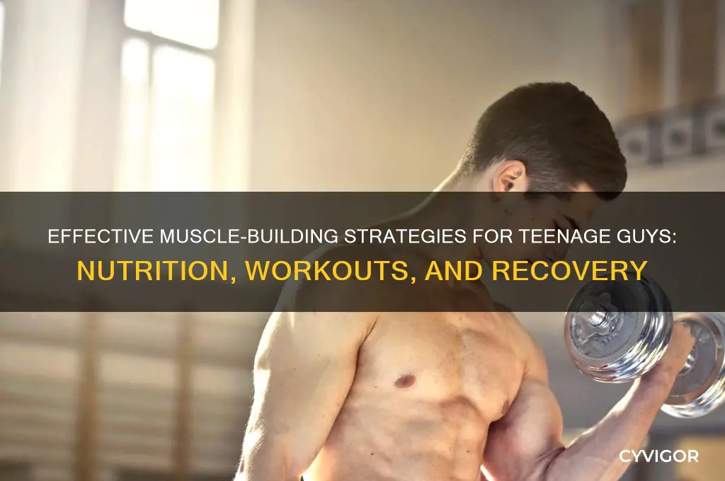 how to gain muscle for teenage guys