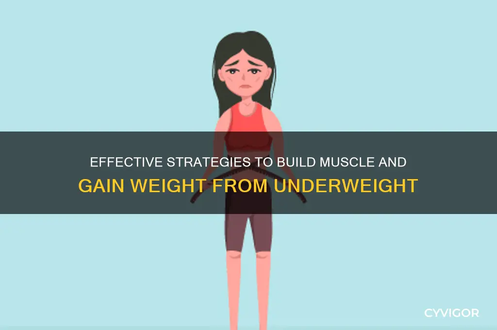 how to gain muscle from underweight