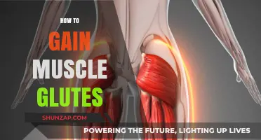 Effective Glute Muscle Building: Tips for Stronger, Toned Glutes