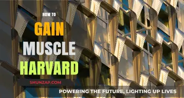 Harvard-Backed Muscle Building: Science-Based Strategies for Effective Gains