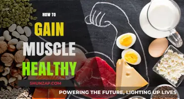 Healthy Muscle Building: Proven Strategies for Sustainable Strength and Growth