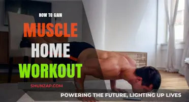 Effective Home Workout Strategies for Building Muscle Mass Fast