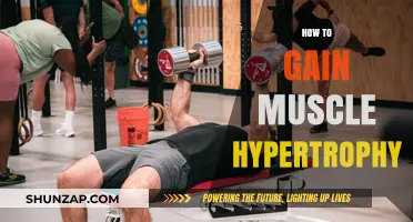 Effective Strategies for Achieving Optimal Muscle Hypertrophy Growth
