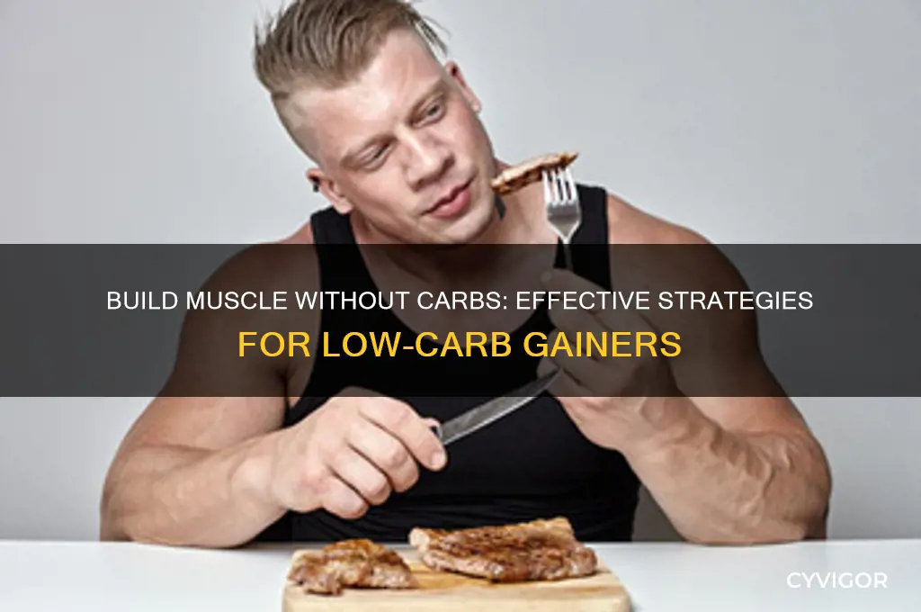 how to gain muscle if you dont like carbs